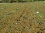 20161029_140909-w