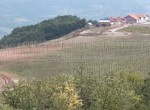 20190802_184214(1)